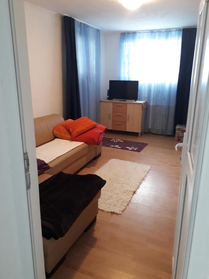 CălimăneştiCasa Ade公寓 外观 照片